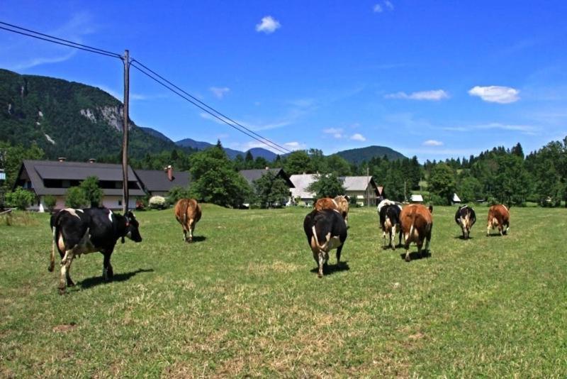 Farmhouse Soklic Bohinj Extérieur photo