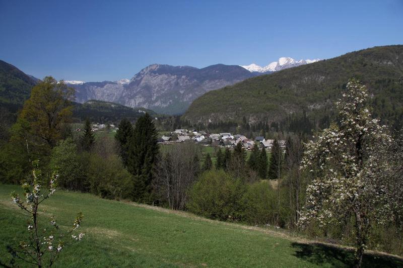 Farmhouse Soklic Bohinj Extérieur photo