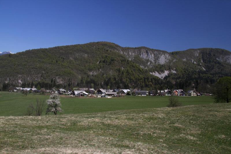 Farmhouse Soklic Bohinj Extérieur photo